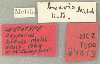 Media type: image; Entomology 34613   Aspect: labels